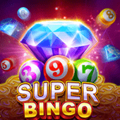 Super Bingo fair play game